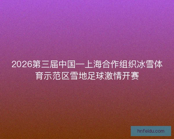 2026第三届中国—上海合作组织冰雪体育示范区雪地足球激情开赛