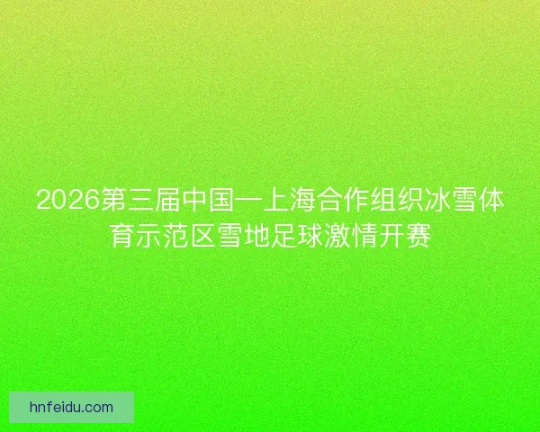 2026第三届中国—上海合作组织冰雪体育示范区雪地足球激情开赛 2026第三届中国—上海合作组织冰雪体育示范区雪地足球激情开赛